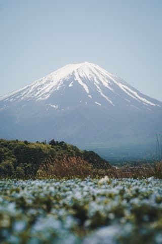 Mt. Fuji